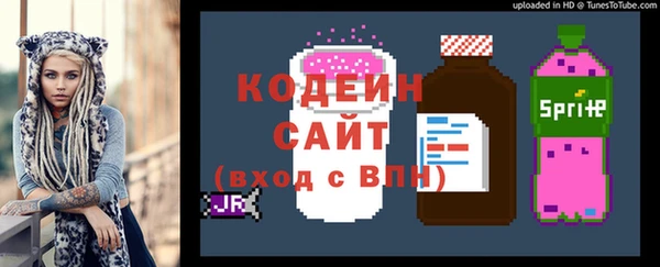 крисы Сатка