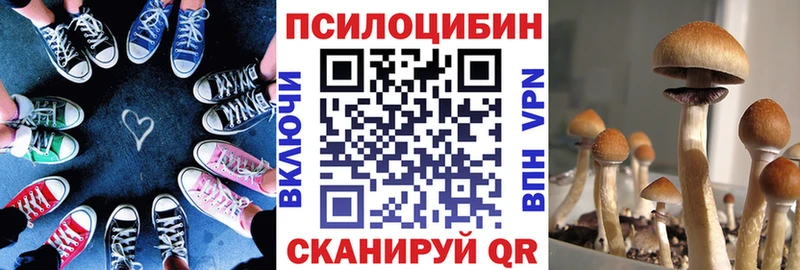 Псилоцибиновые грибы Cubensis  площадка какой сайт  Артёмовск 